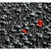 2024-05: rot (2)