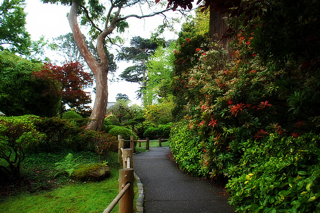 Japanese Garden