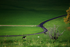 Der Weg nach irgendwo..... (© Pipo63)