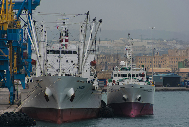 unterwegs im Stadtteil Senglea (© Buelipix)