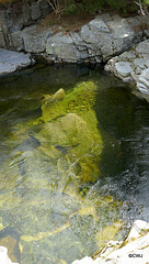 The clear water of the River Feshie