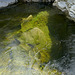 The clear water of the River Feshie