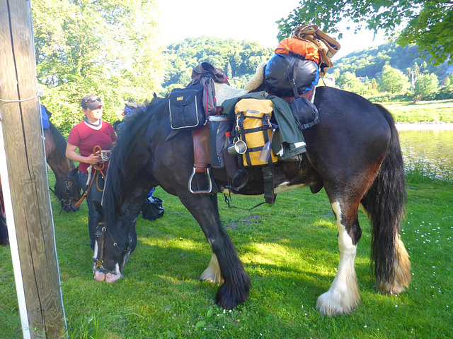 Reitergruppe aus Thüringen