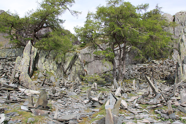 Castle Crag Borrowdale