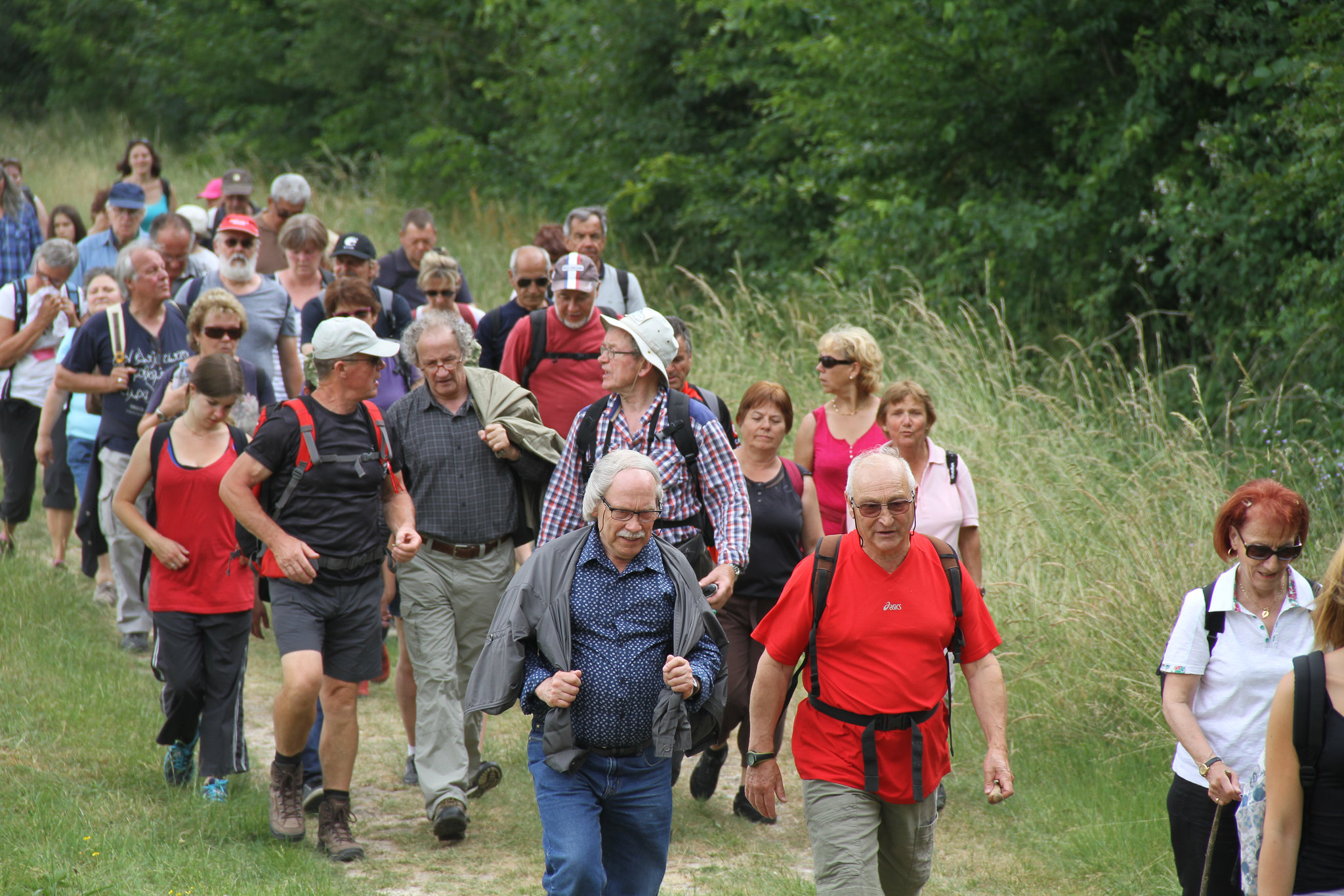 Randonnée Bombon-La Chapelle Gauthier-Bombon  - 20/06/2015