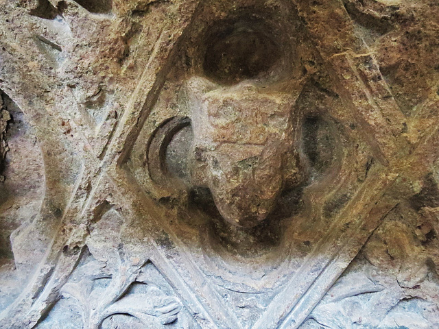 exeter cathedral, devon,choir front of c13 chest tomb , currently under bishop marshall