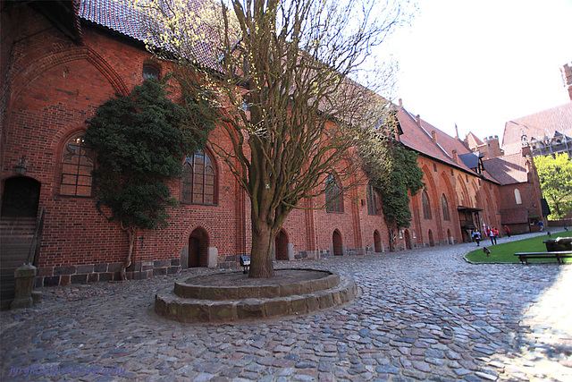 Malbork 22