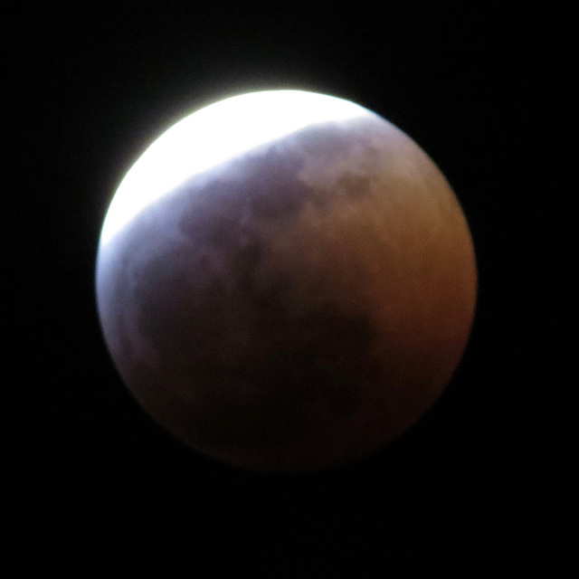 2019.01.21 06:29 UTC