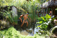 Dominican Republic, Fish Hunting Scene in the Conquista Park