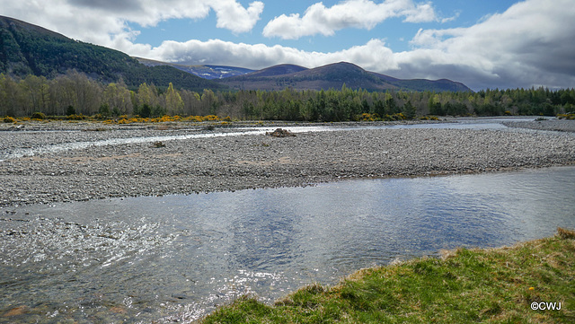Looking across the River Feshie to the Cairngorms