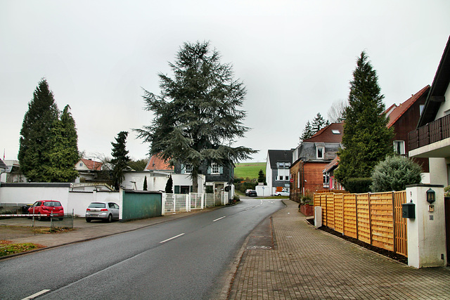 Oberdüsseler Weg (Wülfrath) / 15.01.2022