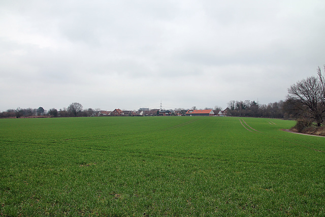 Stockacker bei Eppendorf (Wattenscheid) / 17.02.2024