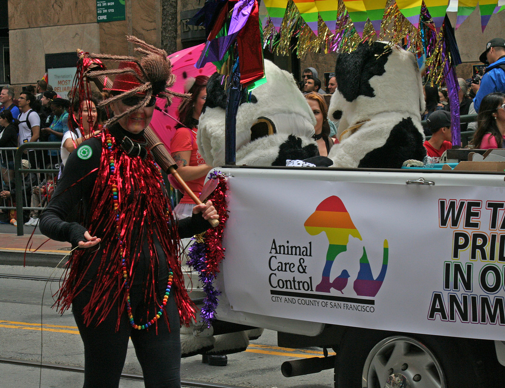 San Francisco Pride Parade 2015 (6284)