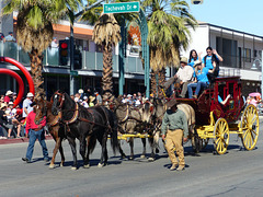 Palm Springs Pride (42) - 8 November 2015