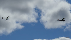 Sunday morning Gliders from the Highland Gliding Club by the Feshie