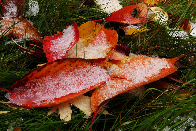 Da ist er, der erste Schnee