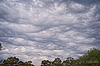 Wild sky
