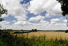 Everton Carr cloudscape