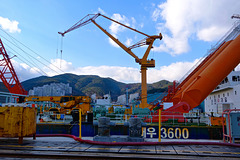 DSME cranes