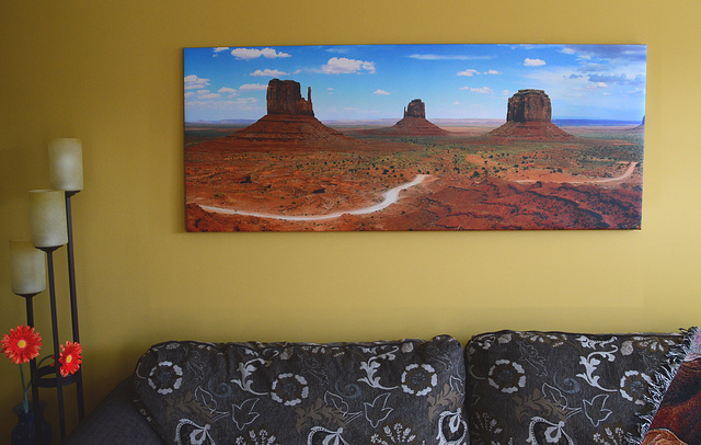 Panoramic Canvas Print