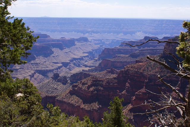 Grand Canyon, North Rim