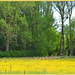 Butter valley----Please enlarge---