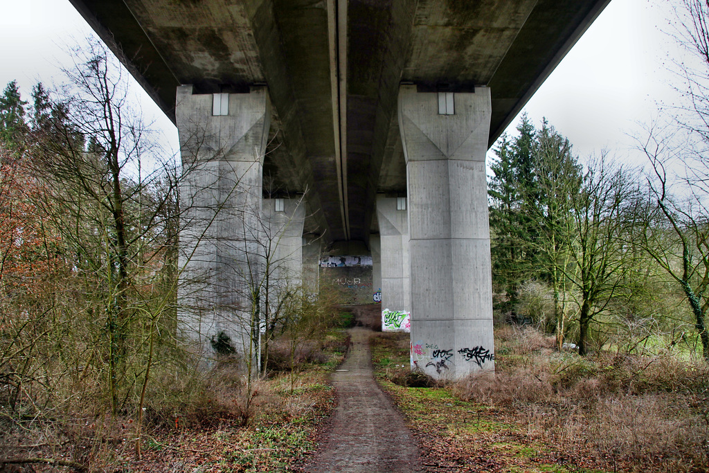 Unter der Autobahnbrücke Oberdüssel (Wülfrath) / 15.01.2022