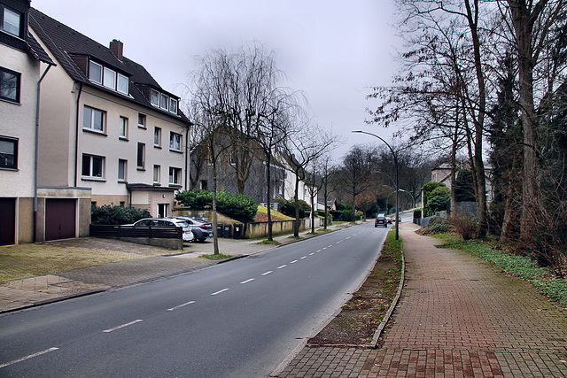 Eppendorfer Straße (Wattenscheid-Eppendorf) / 17.02.2024