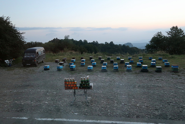 Roadside apiary