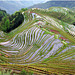 PingAn Rice Terraces, China