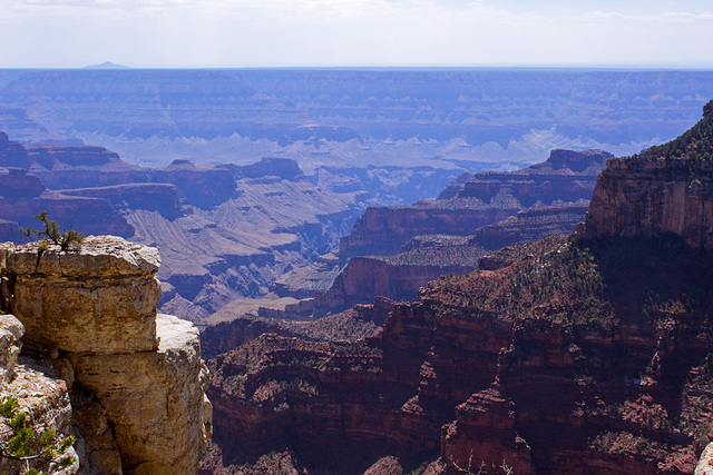 Grand Canyon, North Rim