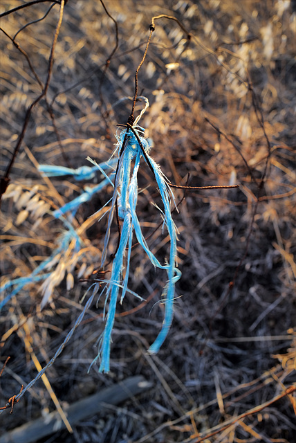 Penedos, Blue rope as blue octopus