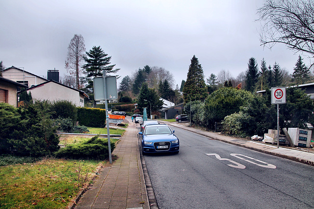 Hesternstraße (Wattenscheid-Eppendorf) / 17.02.2024