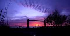 Juste un soir !