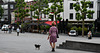 Pancratius square