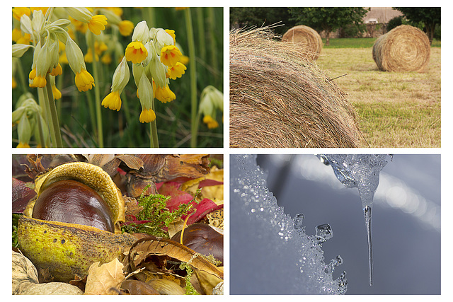 Les 4 saisons...