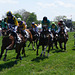 The Horse Race at Point to Point