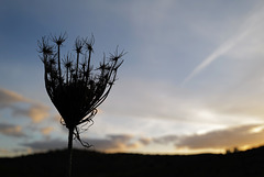 Peace and wind in Penedos