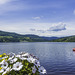 am Titisee (© Buelipix)