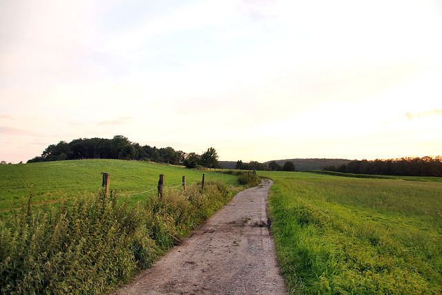 Pennekamp (Sprockhövel-Scheven) / 29.07.2021