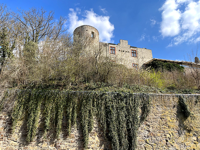DE - Bad Münstereifel - Castle Wall Wednesday