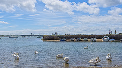 Emsworth Harbour, Hampshire