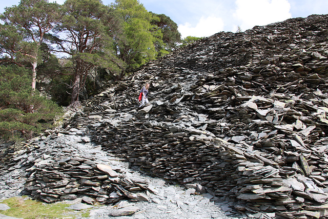 Castle Crag Borrowdale