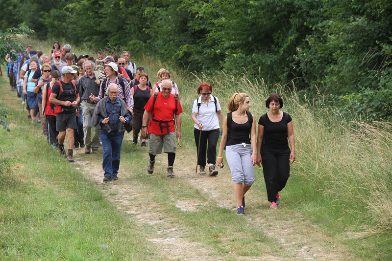 Randonnée Bombon-La Chapelle Gauthier-Bombon  - 20/06/2015