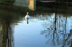 Au fil de l'eau