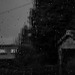 April Showers