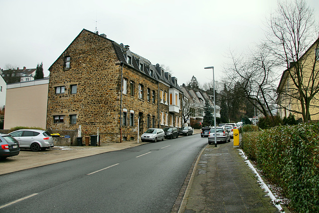 Hinsbecker Berg (Essen-Kupferdreh) / 25.01.2019