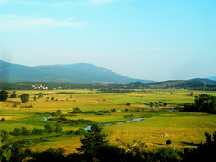 Cetinsko polje