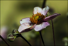 Schöner Rücken... Schöner Rücken...