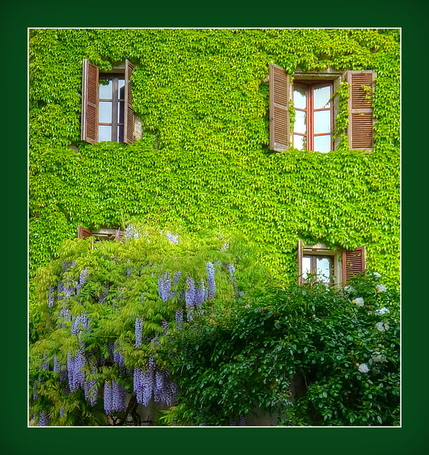 Finestre nel verde